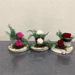 Ensemble de compositions de Roses éternelles (rouge, rose, blanc) - Promofleur