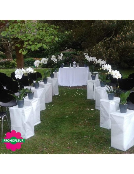 Bouquet mariage
