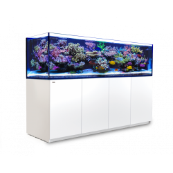 Reefer Deluxe 900 G2 Blanc