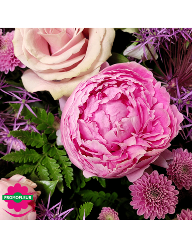 Ton Violet Rose Pastel