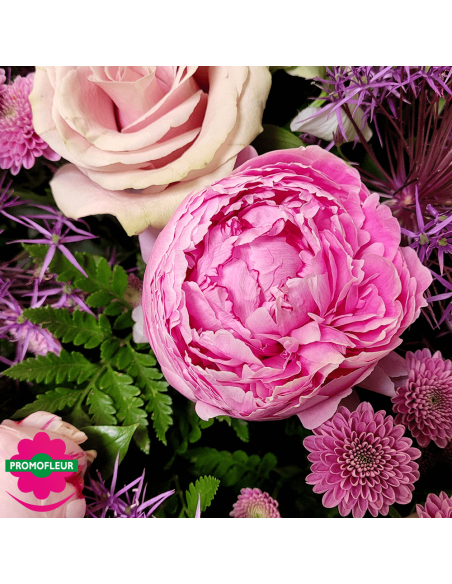 Ton Violet Rose Pastel