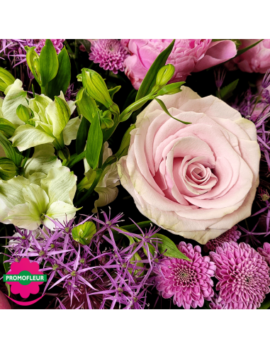 Ton Violet Rose Pastel