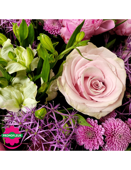Ton Violet Rose Pastel
