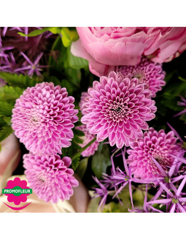 Ton Violet Rose Pastel