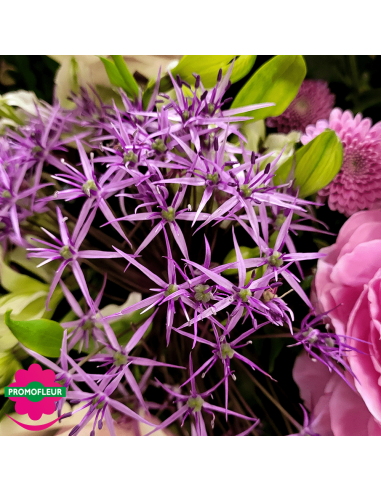 Ton Violet Rose Pastel