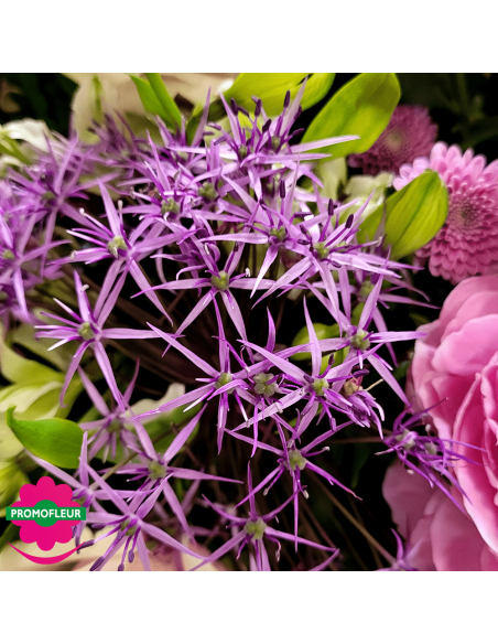 Ton Violet Rose Pastel