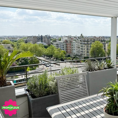 Aménagement de terrasse extérieure Style 'Méditerranéen' (Palmiers, Oliviers, Plantes méditerranéennes…)