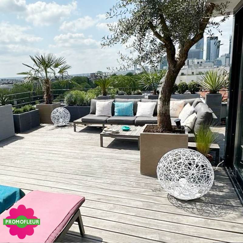 Aménagement de terrasse extérieure Style 'Méditerranéen' (Palmiers, Oliviers, Plantes méditerranéennes…)