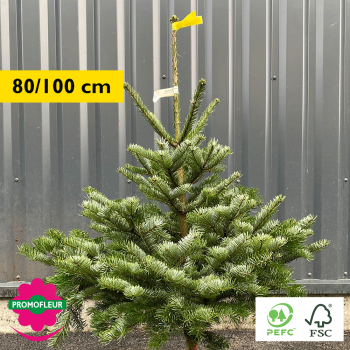 Sapin de Noël coupé Nordmann 80/100 cm (Ruban Jaune) - Promofleur Champagne-sur-Oise)