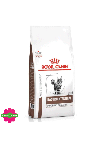 Cat Gastro Intestinal - Royal Cain