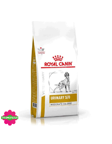 Croquettes Dog Urinary S/O 1,5 kg - Royal Canin - Promofleur