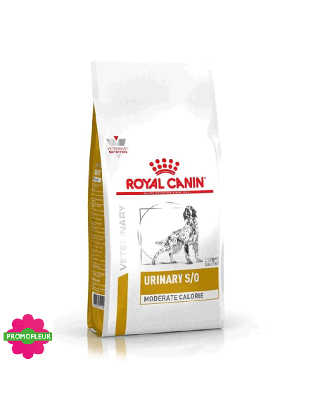 Croquettes Dog Urinary S/O 1,5 kg - Royal Canin - Promofleur