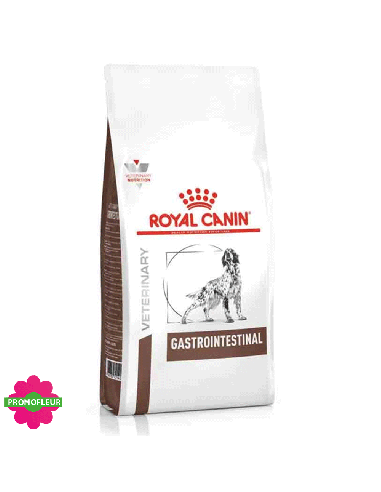 Dog Gastro Intestinal - Royal Canin - Promofleur