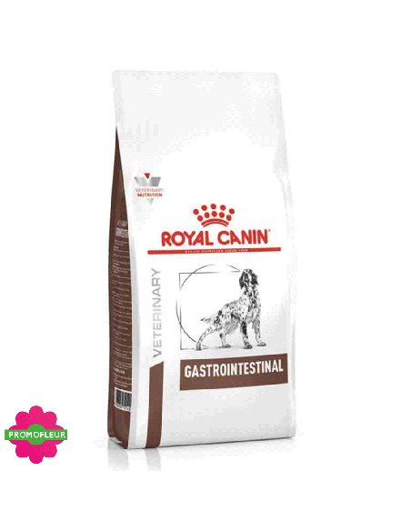 Dog Gastro Intestinal - Royal Canin - Promofleur