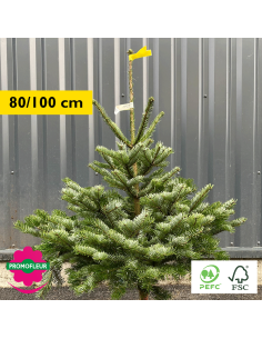 Sapin de Noël coupé Nordmann 80/100 cm (Ruban Jaune) - Promofleur Champagne-sur-Oise)