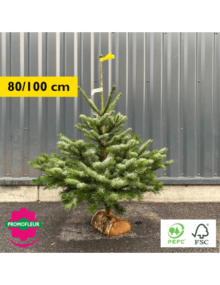 Sapin de Noël coupé Nordmann 80/100 cm (Ruban Jaune) avec buche - Promofleur Champagne-sur-Oise)