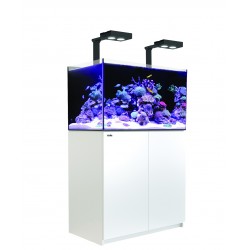 Aquarium Red Sea Reefer Deluxe 250 Blanc (Meuble + 2 Hydra 26 HD + 2 potences Inclus)