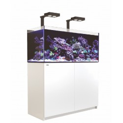 Aquarium Red Sea Reefer Deluxe 350 Blanc (2 Hydra 26 HD + 2 potences + Meuble Inclus)
