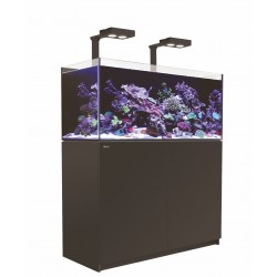 Aquarium Red Sea Reefer Deluxe 350 Noir (2 Hydra 26 HD + 2 potences + Meuble Inclus)