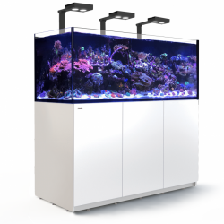 Aquarium Red Sea Reefer Deluxe Blanc XXL 625 (Meuble Inclus)