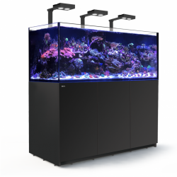 Aquarium Red Sea Reefer Deluxe XXL 625 Noir (Meuble Inclus)