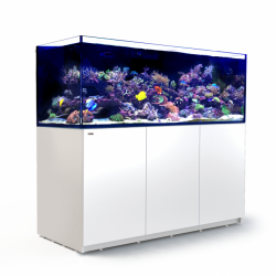 Aquarium Red Sea Reefer XXL 750 Blanc (Meuble Inclus)