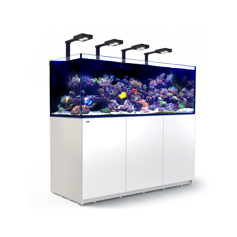 Aquarium Red Sea Reefer XXL 750 Blanc (Meuble Inclus)