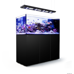 Aquarium Red Sea Reefer Peninsula Deluxe P650 Noir (Meuble Inclus)