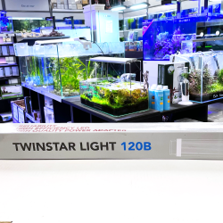 Twinstar Light 120 B- LED