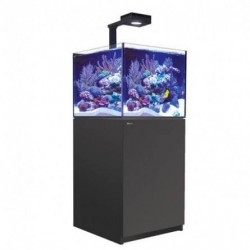 Aquarium Red Sea Reefer Deluxe XL 200 (Meuble Inclus)