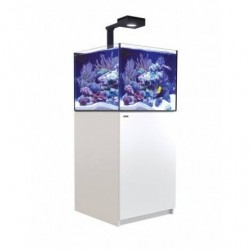 Aquarium Red Sea Reefer Deluxe XL 200 (Meuble Inclus)