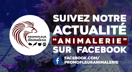 Page Facebook Animalerie Promofleur