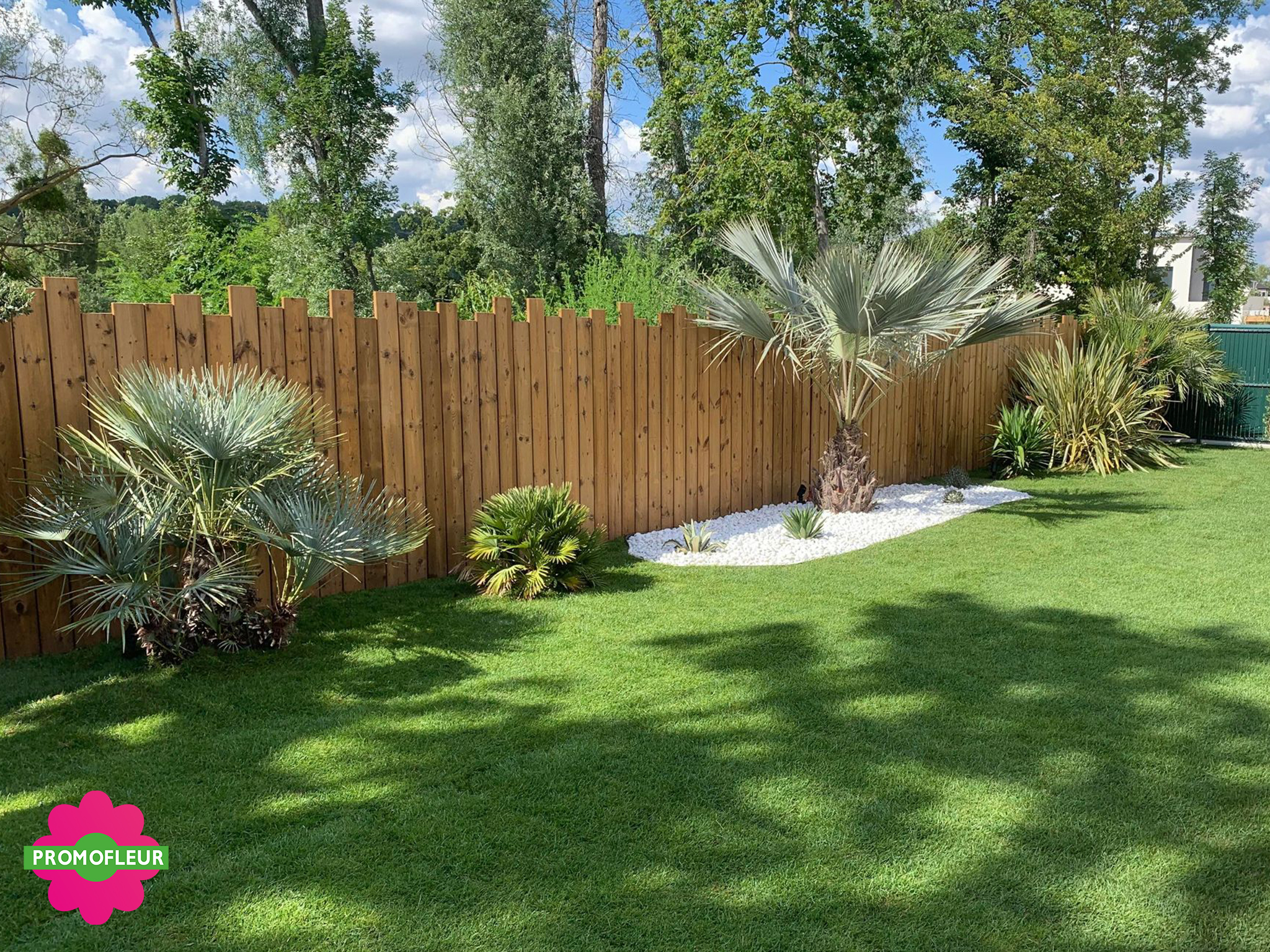 Aménagement de jardin (palmiers, pose de gazon) à L'Isle Adam (95) (2)