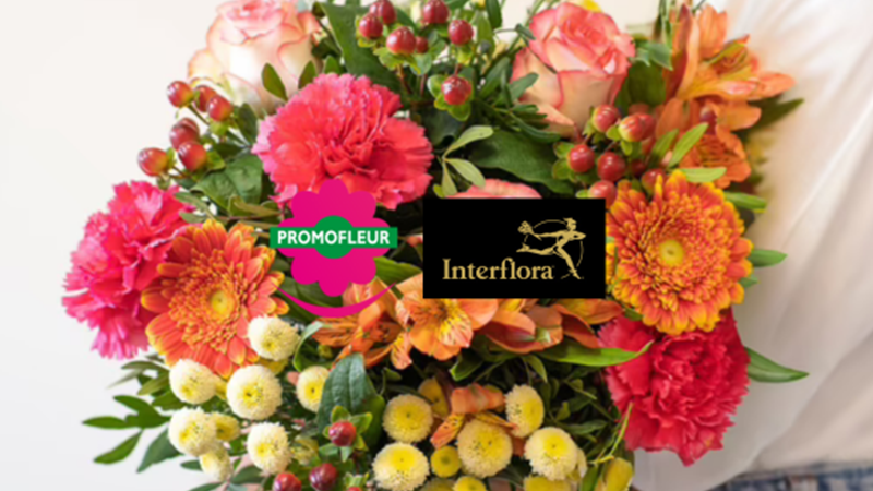 Livraison de fleurs - Promofleur