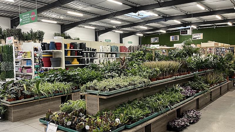 Plantes vertes - Promofleur