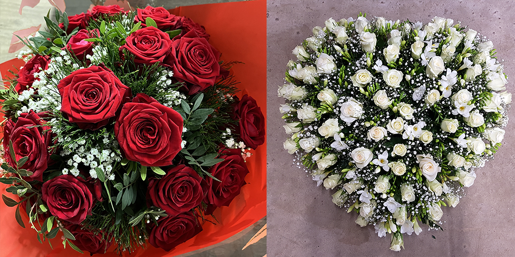 Image catégorie Palmier - Promofleur