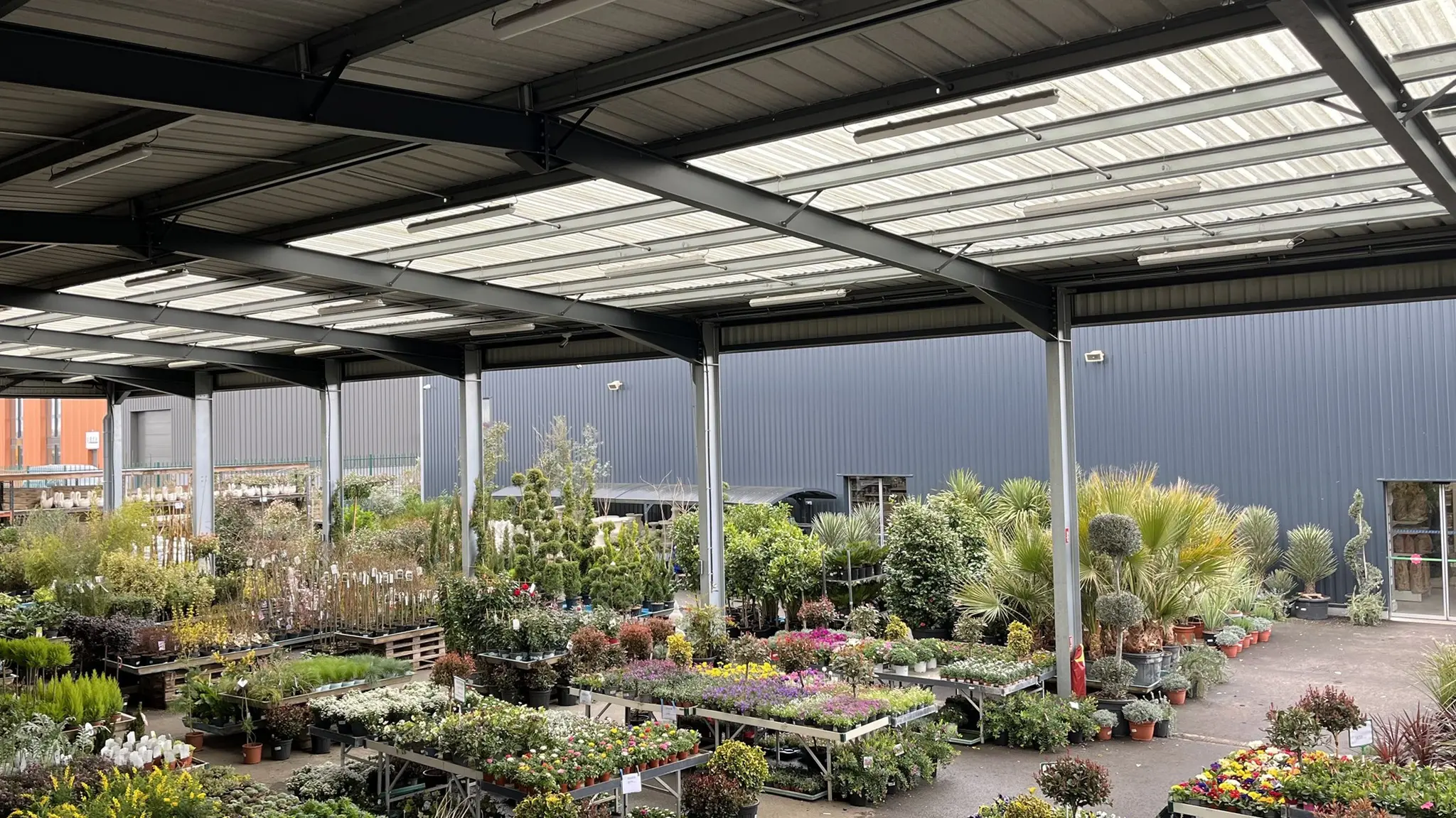 Grand choix de plantes d'extérieur - Promofleur