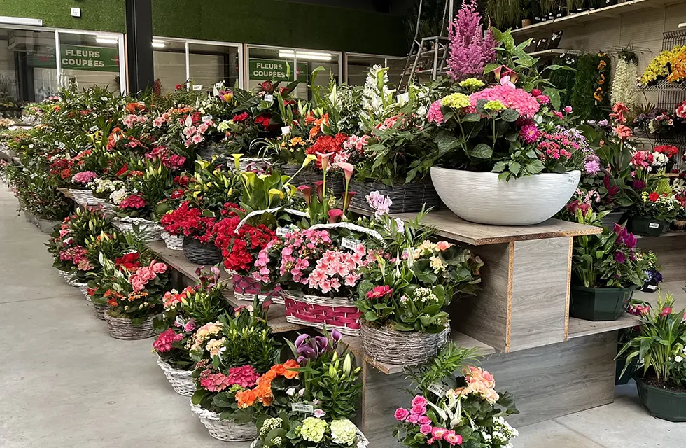 Notre fleuristerie