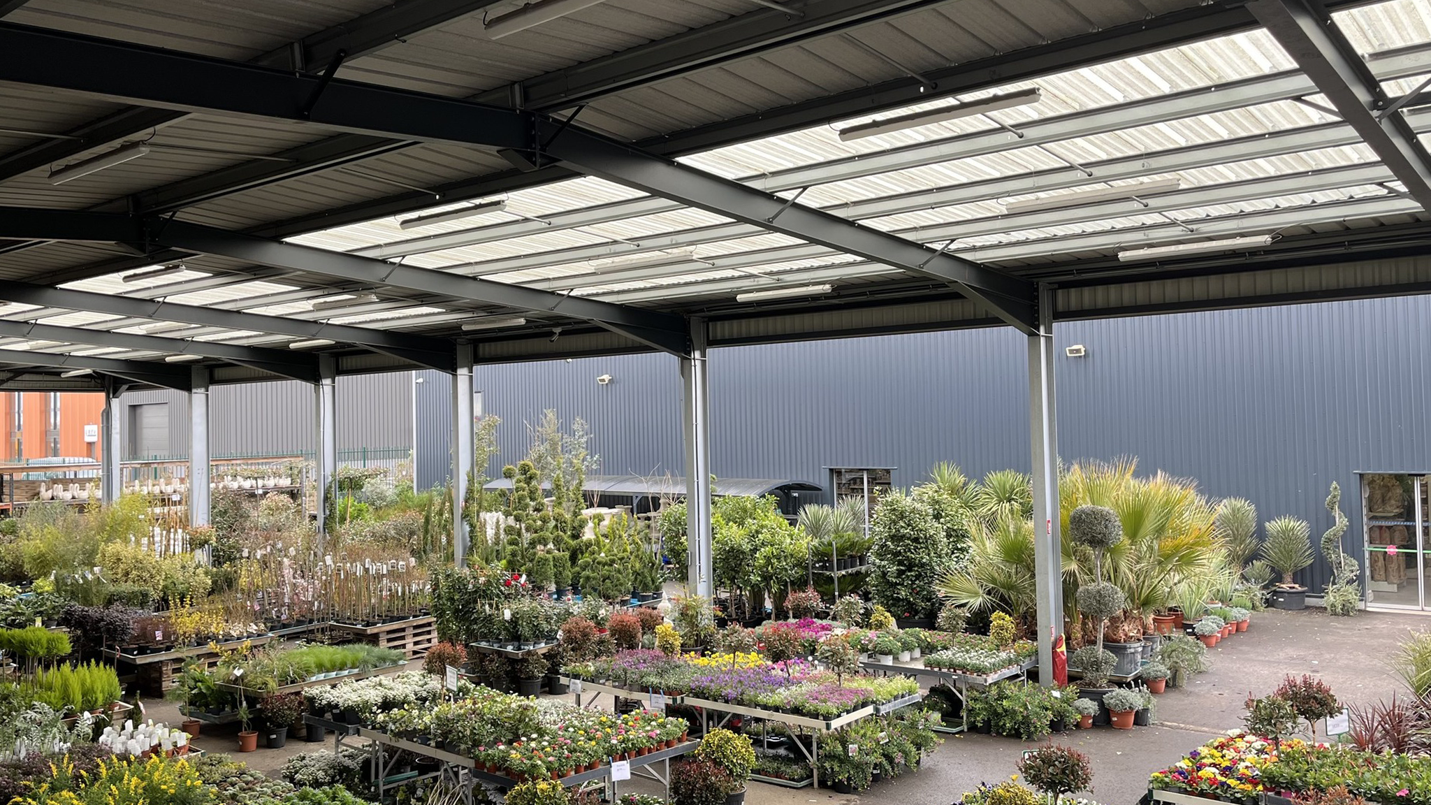 Grand choix de plantes d'extérieur - Promofleur
