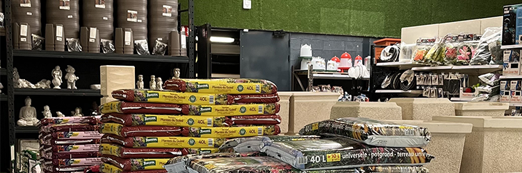 Notre sélection d'arbres topiaires