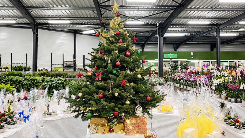 Image catégorie Sapins de Noël - Promofleur