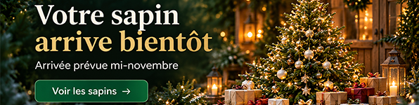 Bannière menu Sapins de Noël 2026
