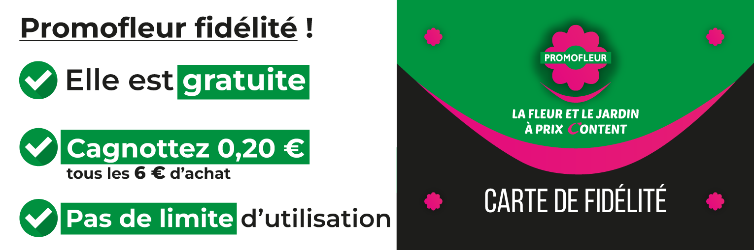Carte de Fidelité Magasin Promofleur