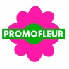 Promofleur