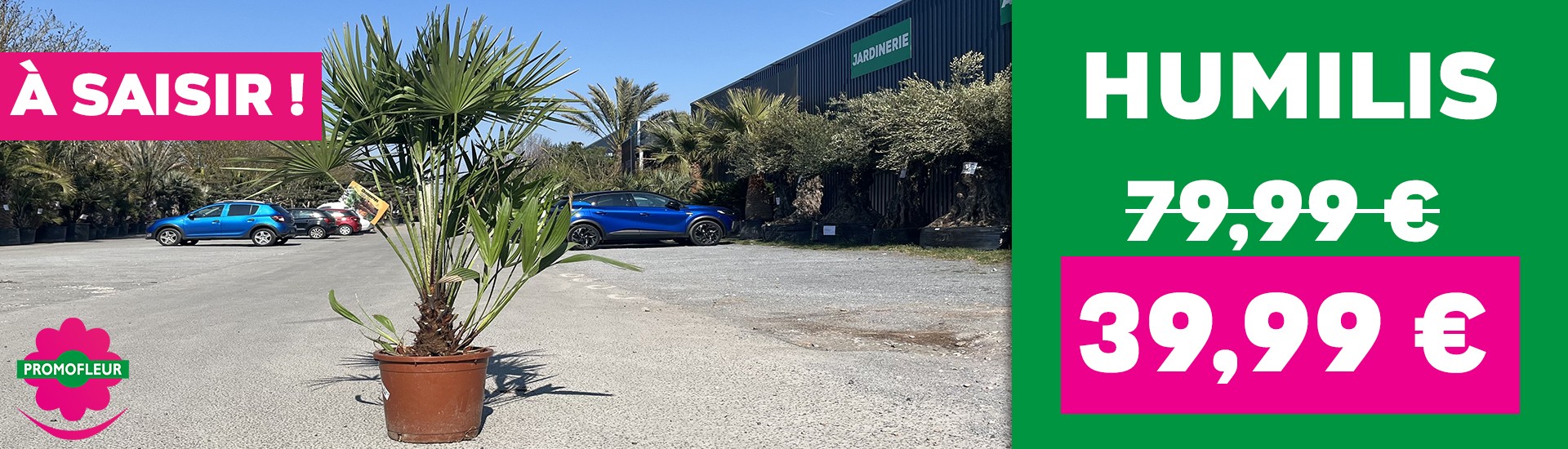 À NE PAS MANQUER : Humilis à 39,99 € au lieu de 79,99 € / pièce !